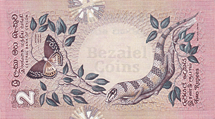LizardSri